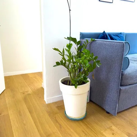 Zeus - Luxury Apartman *